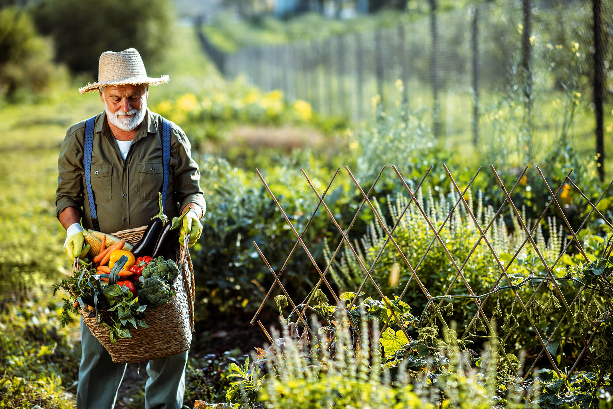 Ručna izrada sapna, čajeva i meda.